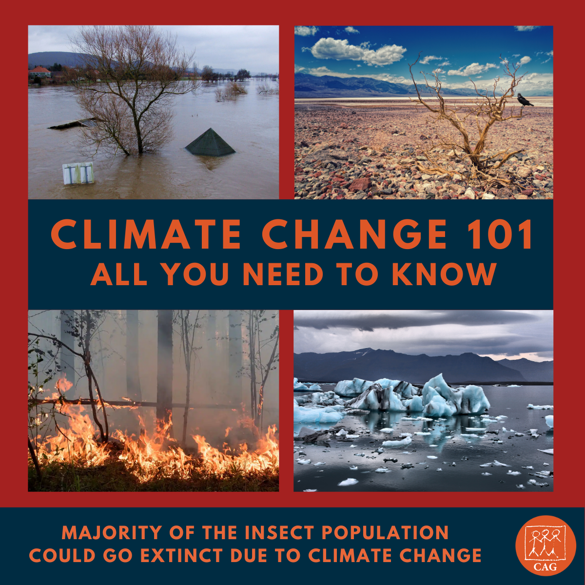 Climate Change Biodiversity Loss Climate Connection